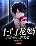 上门龙婿:我的傻白甜老婆